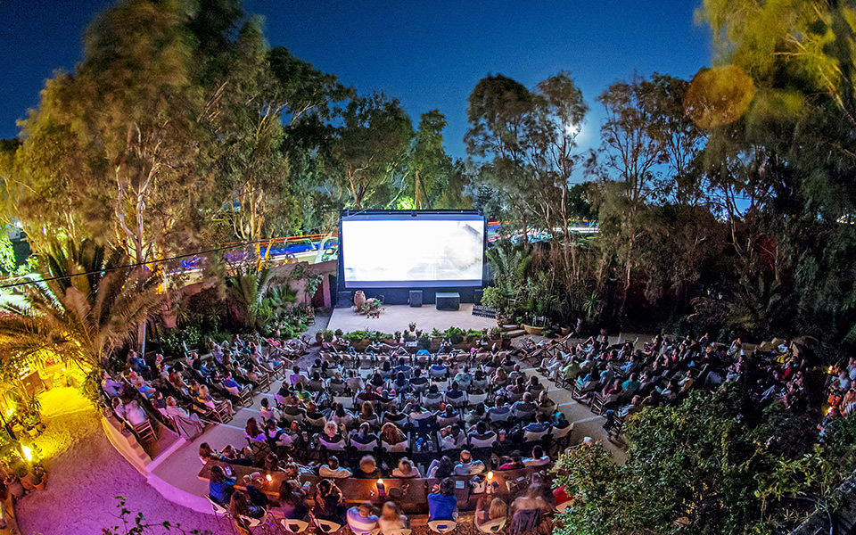 cinema