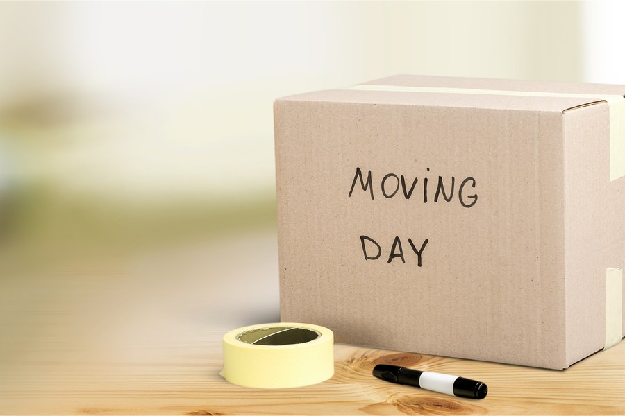 Moving House Moving Office Box Relocation House Mover Home Interior