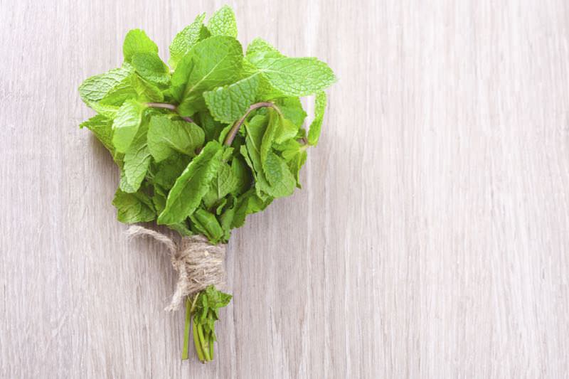 Bunch of fresh green mint