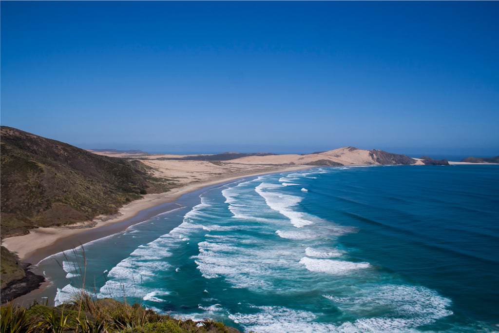 New-Zealand