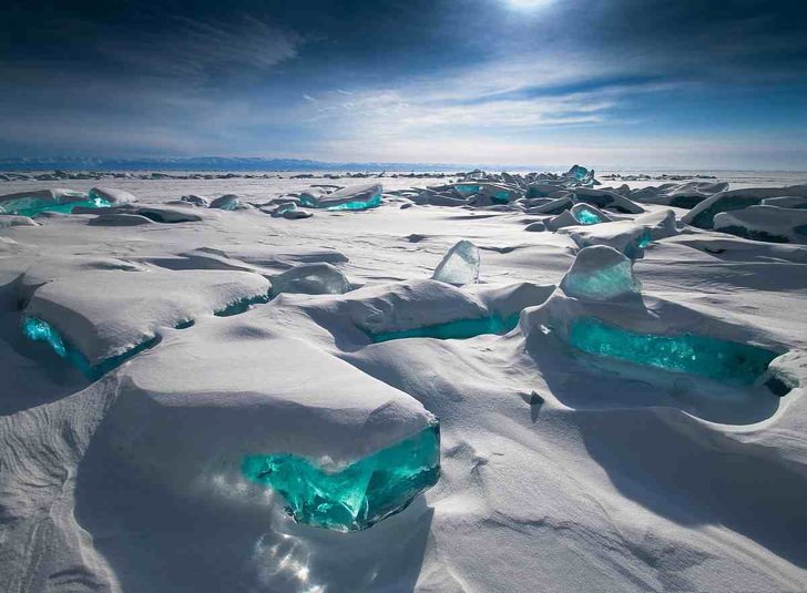 rossia