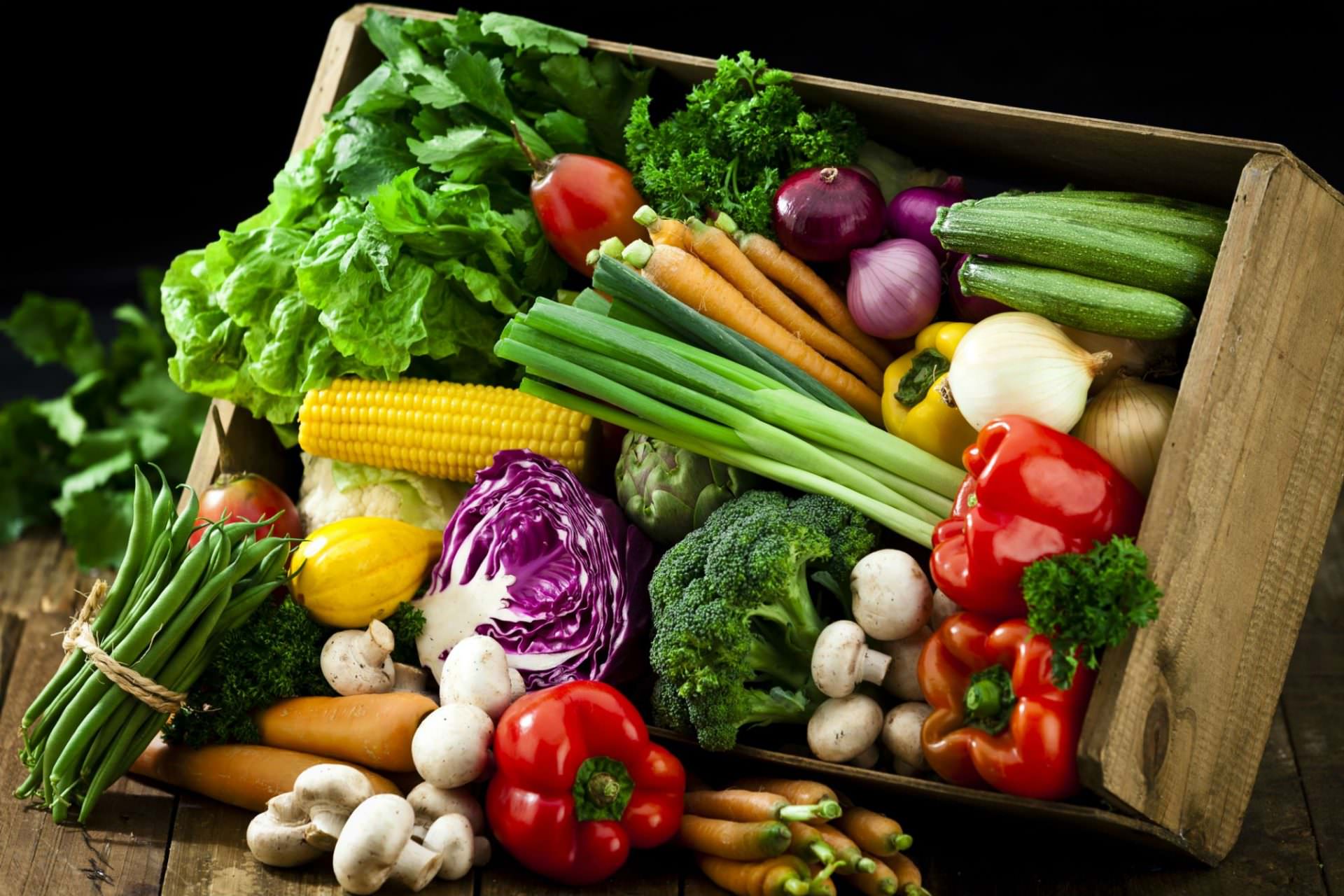 vegan-gymnasium