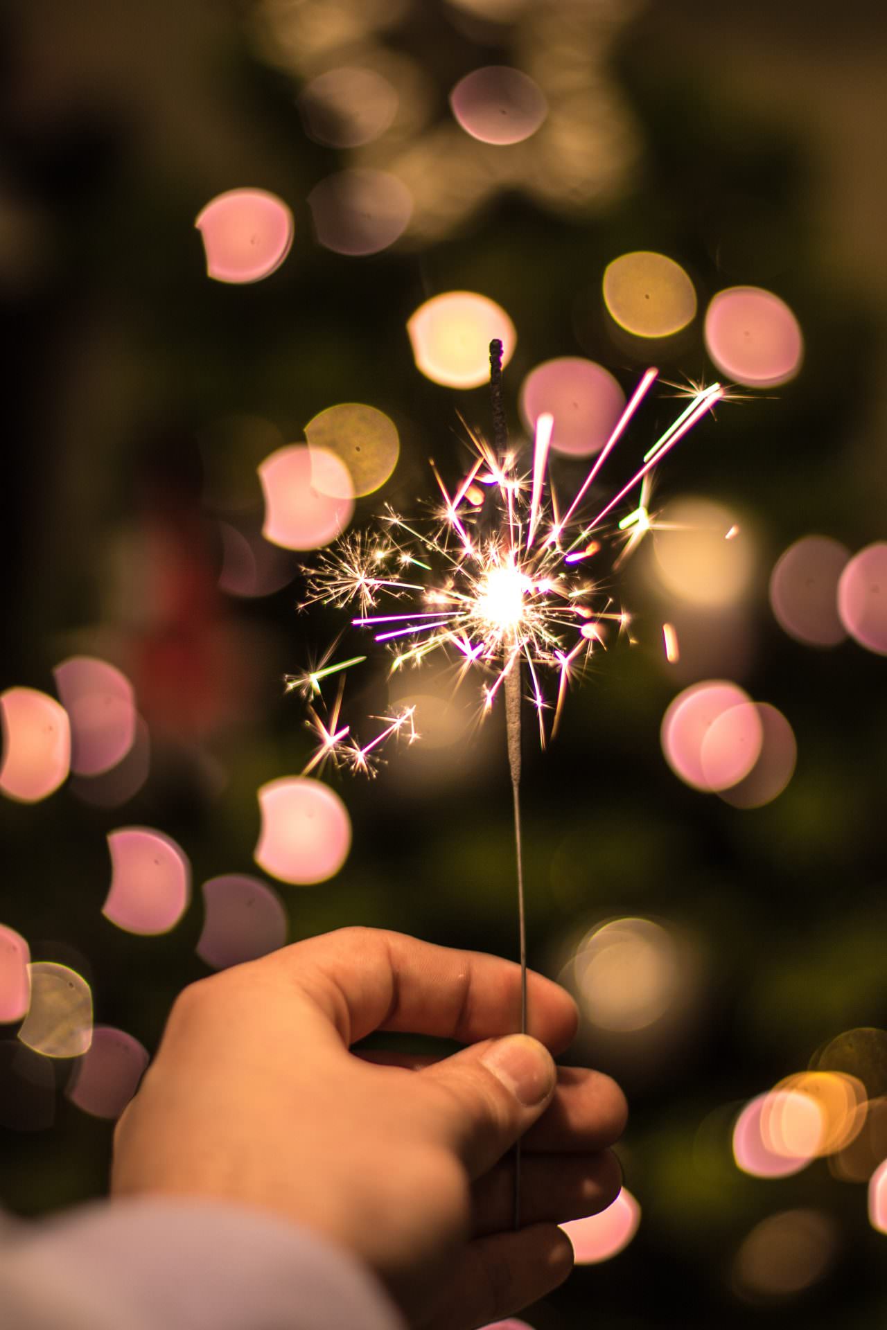 wout-vanacker-497472-unsplash