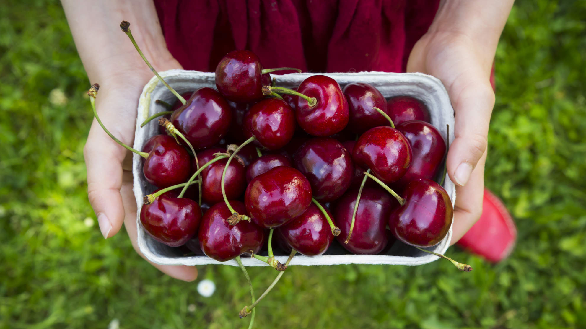 Mädchen mit Kirschen, Sommer, Garten