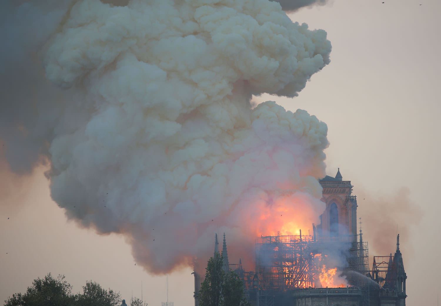 Fire at Notre Dame Cathedral in Paris