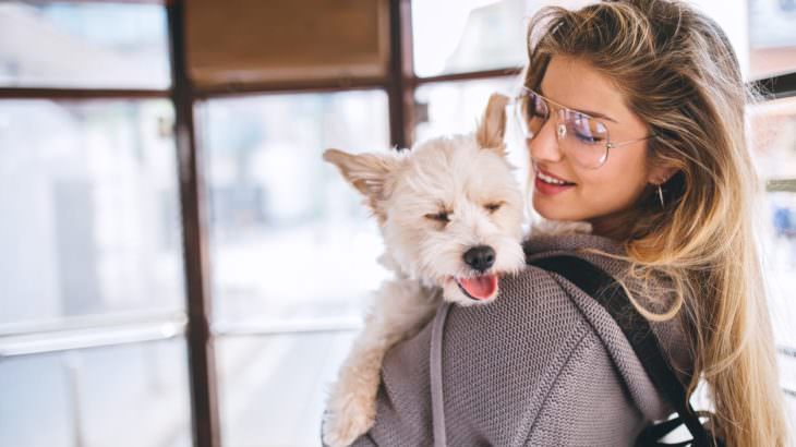 Woman and her dog in tram